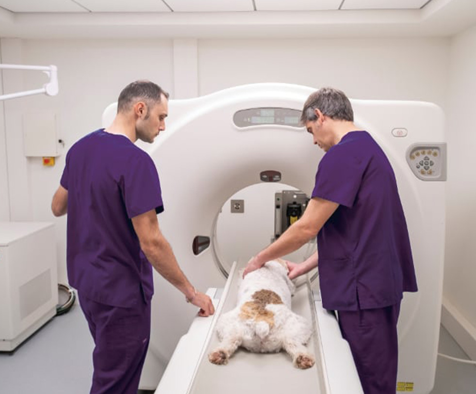 Computed Tomography (CT)